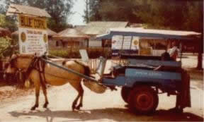 Der "Bus" auf den Gili-Inseln
