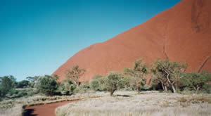 am Fuße des Uluru - Ayers Rock