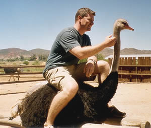 ... Ostrich and Thomas