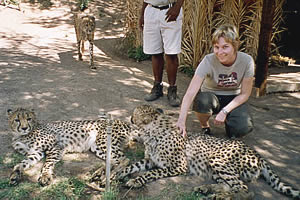 ... der Gepard, der sich da von hinten annähert, begann Michaela am Arm zu lecken - Ergebnis: leichter Hautausschlag